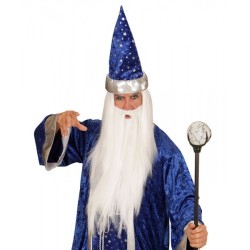 PERRUQUE DE MAGICIEN AVEC BARBE BLANC 