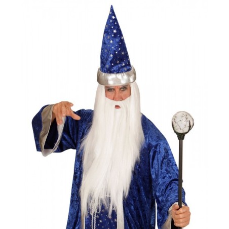 PERRUQUE DE MAGICIEN AVEC BARBE BLANC 