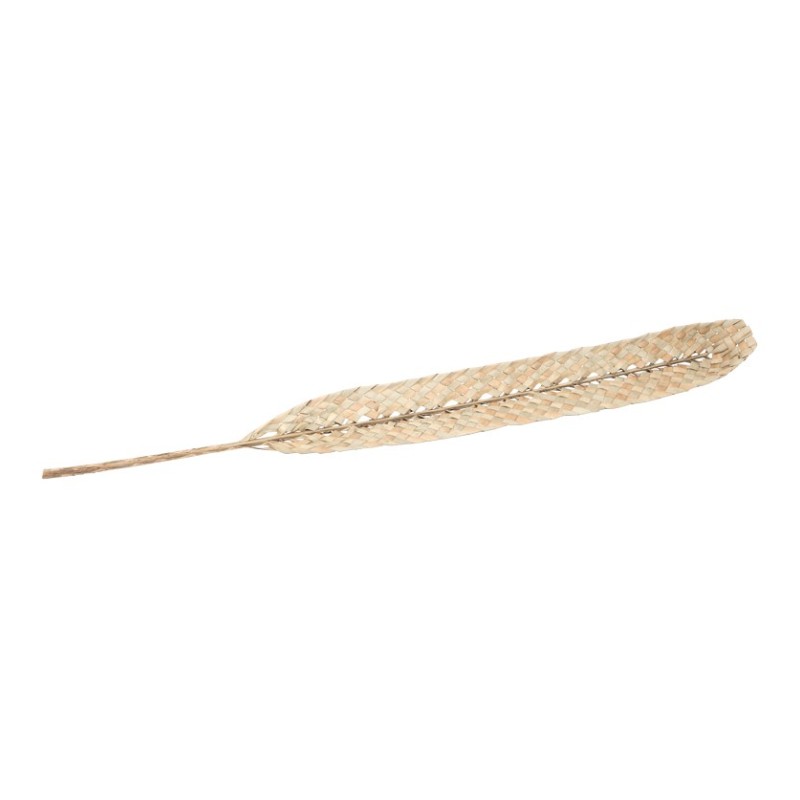 FEUILLE DATTIER TRESSEE SECHEE 8CM X 100CM FEUILLE DATTIER TRESSEE SECHEE 8CM X 100CM