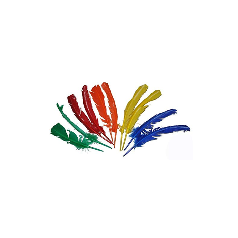10 PLUMES COLOREES 10 PLUMES COLOREES