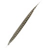PLUME DE PAON ( PRINCE CARNAVAL ) 60 CM 