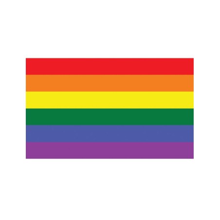 DRAPEAU EN TISSUS ARC EN CIEL LGBT 90 X 150 CM