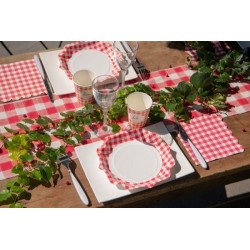 10 ASSIETTES VICHY 21 CM