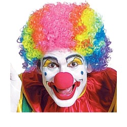 PERRUQUE CLOWN MULTICOLORE 