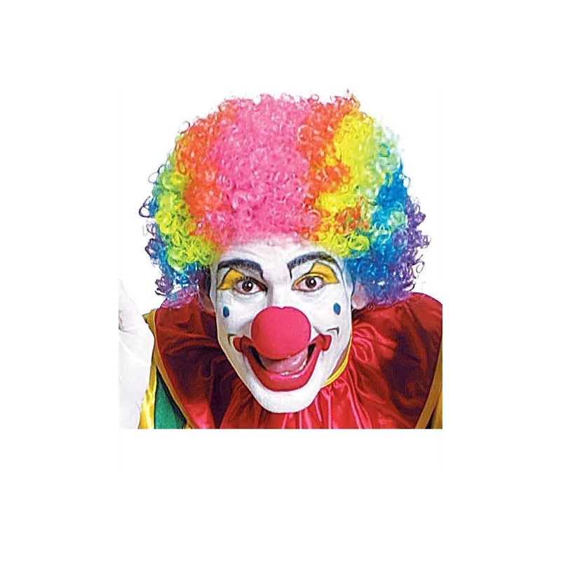 PERRUQUE CLOWN MULTICOLORE PERRUQUE CLOWN MULTICOLORE