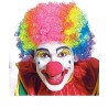 PERRUQUE CLOWN MULTICOLORE 