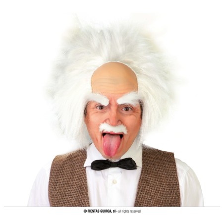 PERRUQUE HOMME PROFESSEUR FOU 