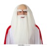 PERRUQUE ET BARBE MAGICIEN MAGE 