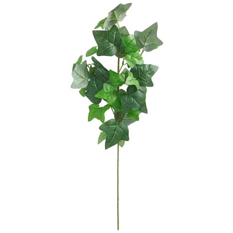BRANCHE DE LIERRE 60 CM BRANCHE DE LIERRE 60 CM