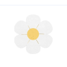 12 SERVIETTES FLEURS BLANCHE MARGUERITE 16 X 16.5 CM 