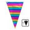 GUIRLANDE FANION ARC-EN-CIEL 10 M 