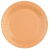 10 ASSIETTES CARTON RAINBOW RONDE CORAIL  22 CM 