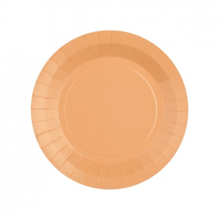 10 ASSIETTES CARTON RAINBOW RONDE CORAIL  18 CM 