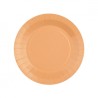 10 ASSIETTES CARTON RAINBOW RONDE CORAIL  18 CM 
