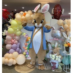 DEGUISEMENT LAPIN BRUN MASCOTTE JEANNOT TAILLE UNIQUE 