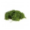 SACHET DE MOUSSE VERTE EXTENSIBLE 50G