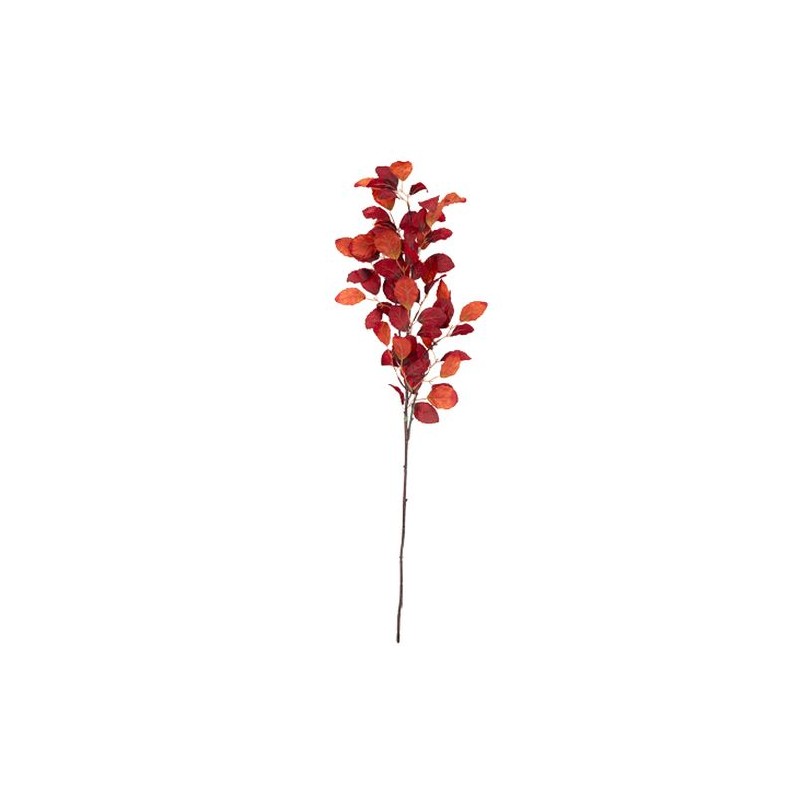 BRANCHE DE HETRE D'AUTOMNE DEGRADE DE MARSALA 1 METRE BRANCHE DE HETRE D'AUTOMNE DEGRADE DE MARSALA 1 METRE