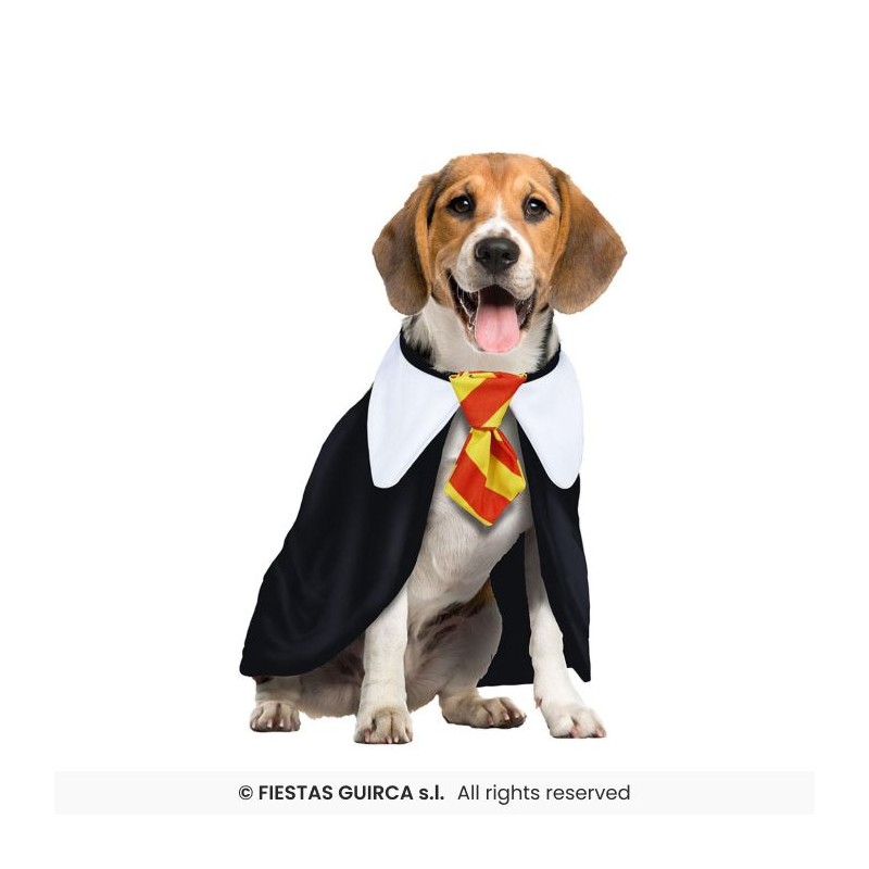 DEGUISEMENT HALLOWEEN ETUDIANT HARRY POUR CHIEN TAILLE S DEGUISEMENT HALLOWEEN ETUDIANT HARRY POUR CHIEN TAILLE S