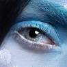LENTILLES SEMAINE SIRENE   