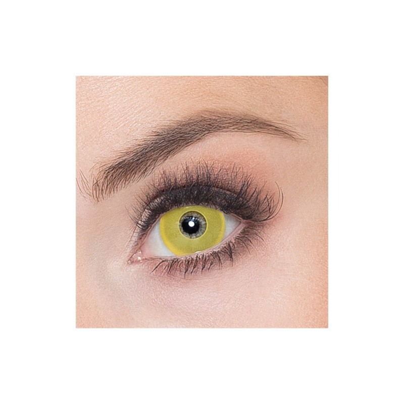 LENTILLES SEMAINE CORBEAU (JAUNE )