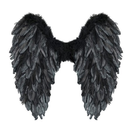 AILES EN PLUMES NOIRES 50 X 50 CM PLIABLES