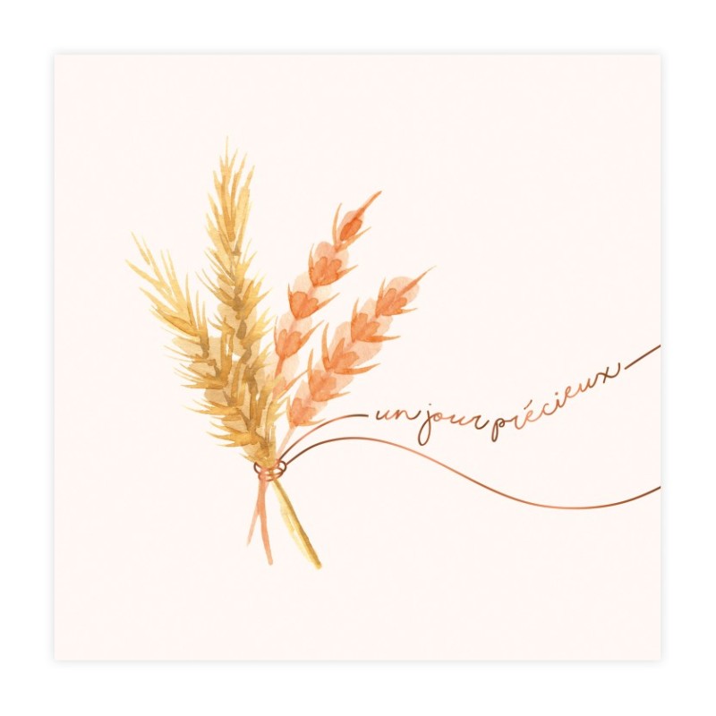 20 SERVIETTES PAPIER 3 PLIS UN JOUR PRECIEUX 33 X 33 CM 20 SERVIETTES PAPIER 3 PLIS UN JOUR PRECIEUX 33 X 33 CM