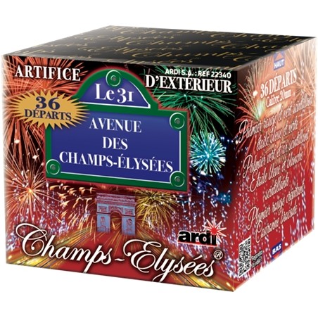 FEUX COMPACT LE 31 AVENUE DES CHAMPS ELYSEES