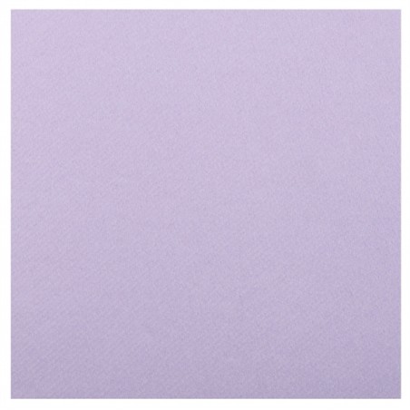 20 SERVIETTES RAINBOW AIRLAID LILAS OU PARME  40 X 40 CM 