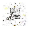 16 SERVIETTES  BONNE ANNEE 33 X 33 CM 