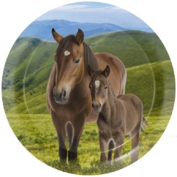 8 ASSIETTES CHEVAL ET PONEY 23 CM