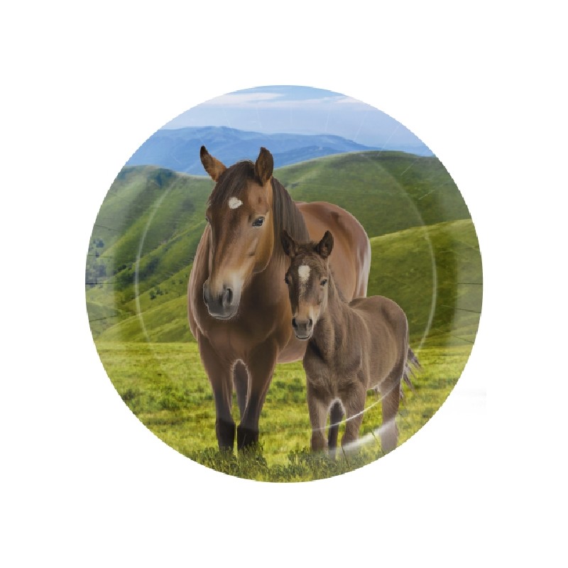 8 ASSIETTES CHEVAL ET PONEY 23 CM 8 ASSIETTES CHEVAL ET PONEY 23 CM