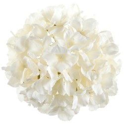 HORTENSIA IVOIRE TETE DE FLEUR 20 CM ENVIRON