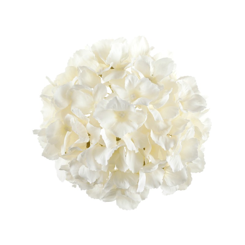 HORTENSIA IVOIRE TETE DE FLEUR 20 CM ENVIRON HORTENSIA IVOIRE TETE DE FLEUR 20 CM ENVIRON