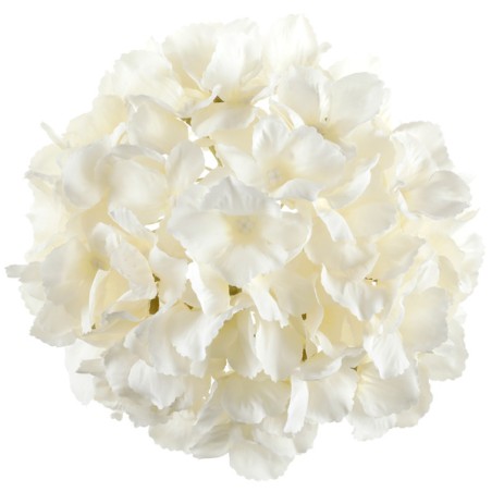 HORTENSIA IVOIRE TETE DE FLEUR 20 CM ENVIRON