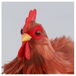 POULE ROUSSE PLUMES PM 20CM X 12CM X 20CM