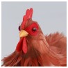 POULE ROUSSE PLUMES PM 20CM X 12CM X 20CM