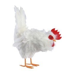 POULE BLANCHE PLUMES PICOTA 28CM X 14CM X 37CM