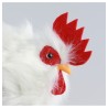 POULE BLANCHE PLUMES PICOTA 28CM X 14CM X 37CM