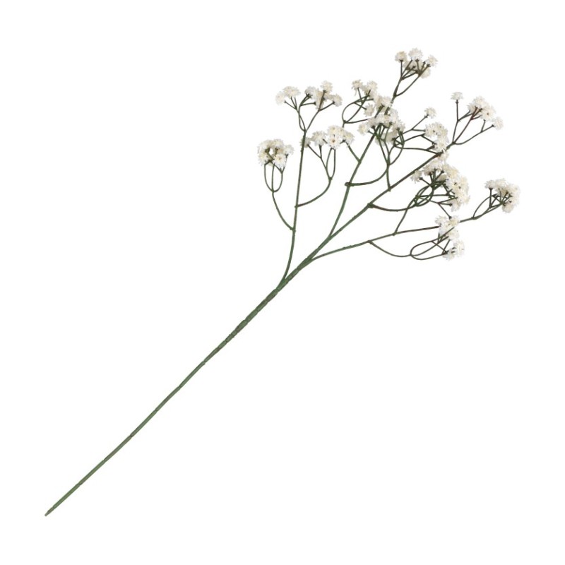 TIGE GYPSOPHILE CREME ENV 15CM X 10CM X 60CM TIGE GYPSOPHILE CREME ENV 15CM X 10CM X 60CM