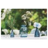 TIGE GYPSOPHILE CREME ENV 15CM X 10CM X 60CM