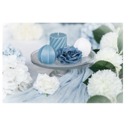 PLATEAU VERRE CATHERINE SUR PIED DIA 24.7CM X 8.3CM