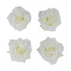 4 TETES DE ROSE IVOIRE DIA 9.5CM X 5.5CM