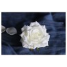 4 TETES DE ROSE IVOIRE DIA 9.5CM X 5.5CM