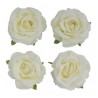 4 TETES DE ROSE IVOIRE DIA 11CM X 6CM