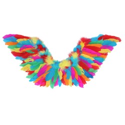 AILES EN PLUMES MULTICOLORES  35 X 65 CM