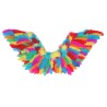 AILES EN PLUMES MULTICOLORES  35 X 65 CM
