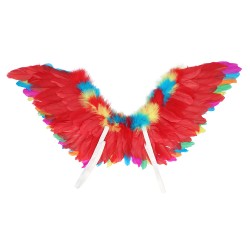AILES EN PLUMES MULTICOLORES  35 X 65 CM
