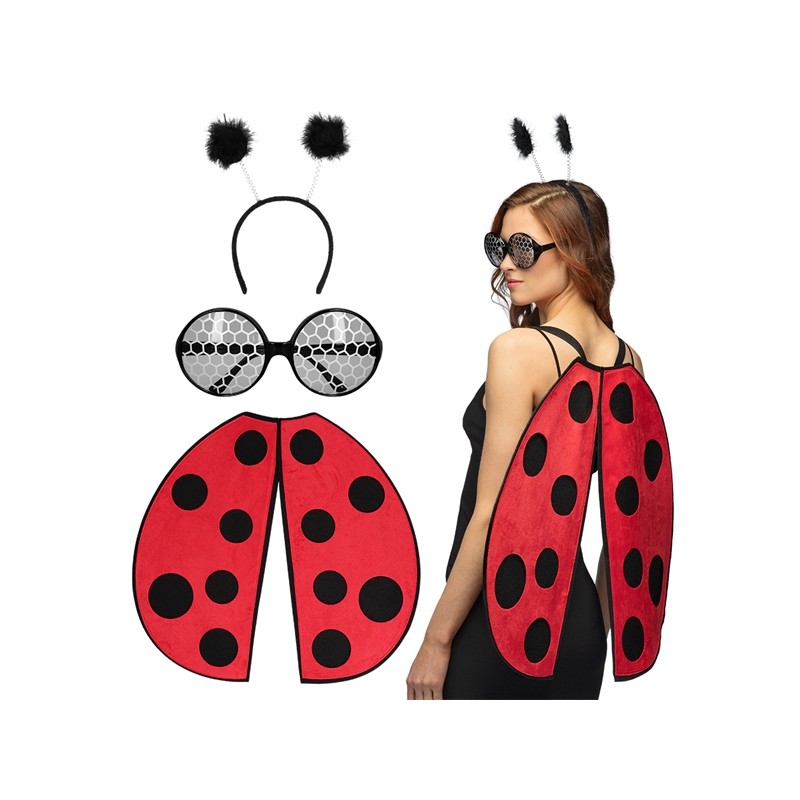 SET COCCINELLE LADYBUG AILES LUNETTES ET SERRE TETE SET COCCINELLE LADYBUG AILES LUNETTES ET SERRE TETE