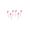 20 PICS FLAMANTS ROSE 