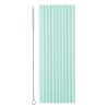 12 PAILLES EN PLATIQUE REUTILISABLE VERT PASTEL OU MENTHE 23 CM